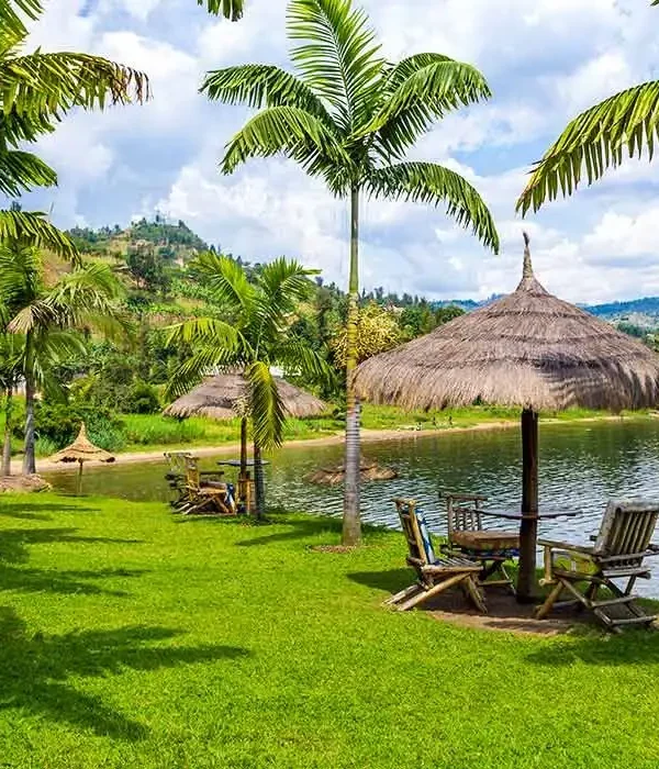 Gisenyi-Rubavu-gorilla-trek-rwanda