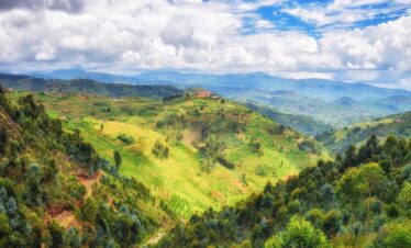 Nyungwe Forest Safari