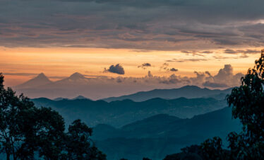 Nyungwe Forest Safari