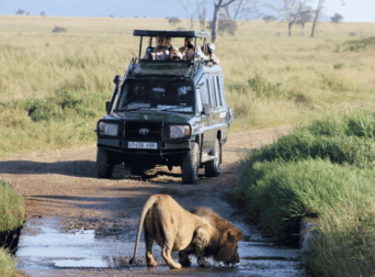 akagera national park travel guide