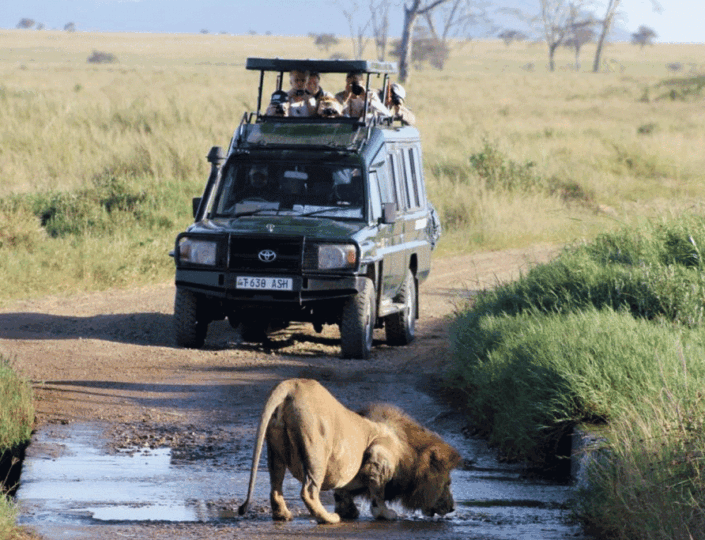 akagera national park travel guide