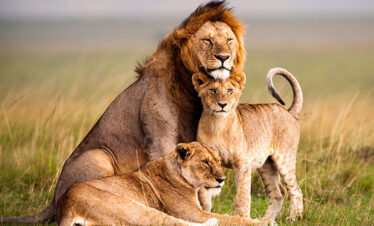 akagera national park travel guide