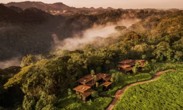 Nyungwe Forest Safari