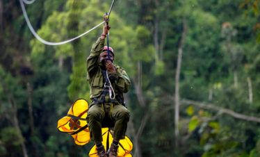 Nyungwe Forest Safari