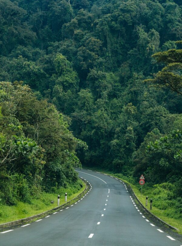 road-to-nyungwe-forest